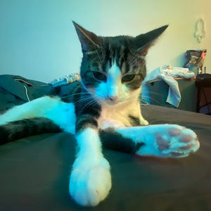 Meet your Posher, Arianna